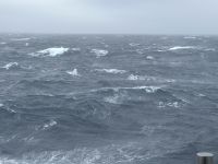 bei einer Kreuzfahrt mit der MS Spitsbergen im Nordatlantik kann es auch unruhig werden
