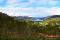 ber dem Ofotfjord