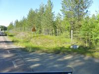 das begehrte schwedische Elchverkehrsschild - Wildpassage