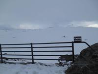 höchster Punkt der Sognefjell-Strasse