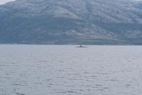 noch ein U Boot