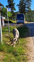 per Anhalter zum Nordkap