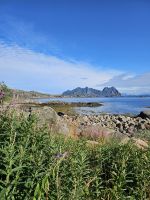 vor Solsvær