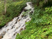 054 Abstieg nach Achenkirch