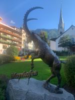 180 in Mayrhofen