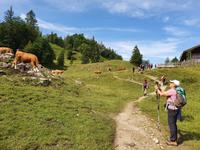 2. Etappe vom Tegernsee zum Achensee