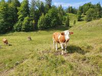 2. Etappe vom Tegernsee zum Achensee