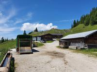 2. Etappe vom Tegernsee zum Achensee, Blaubergalm