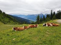 4. Etappe, 2.Teil, von Fügen nach Hochfügen, Blick nach Innsbruck und Karwendel
