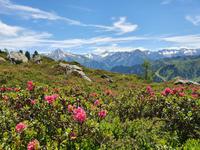 5.Etappe von Hochfügen nach Mayrhofen, Ahornspitze in Sicht
