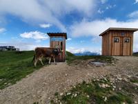 Mayrhofen, Ahornplateau