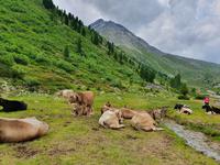 6.Etappe von Mayrhofen nach Südtirol ins Pfitschtal