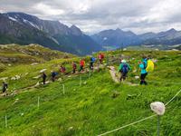 6.Etappe von Mayrhofen nach Südtirol ins Pfitschtal, Abstieg vom Pfitscherjoch