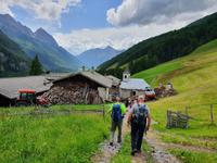 6.Etappe von Mayrhofen nach Südtirol ins Pfitschtal, Abstieg vom Pfitscherjoch