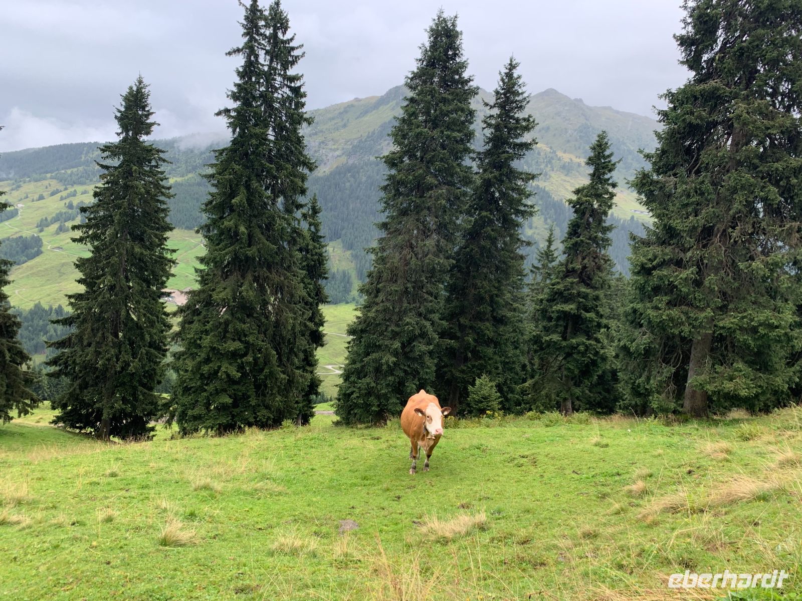 098 4. Etappe vom Spieljoch nach Hochfügen
