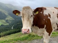 100 4. Etappe vom Spieljoch nach Hochfügen