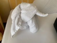 108 Begrüßung im Hotel in Mayrhofen