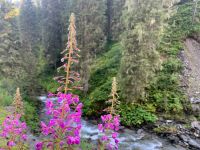 111 5. Etappe von Hochfügen zum Melchboden