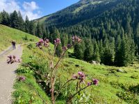 113 5. Etappe von Hochfügen zum Melchboden