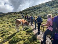 135 5. Etappe von Hochfügen zum Melchboden