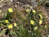 146 5. Etappe von Hochfügen zum Melchboden