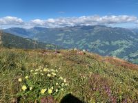 176 Abstieg zum Arbiskopf