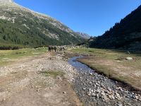 192 6. Etappe vom Schlegeis-Stausee nach Südtirol