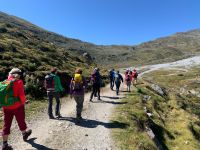 203 Aufstieg zum Pfitscherjoch