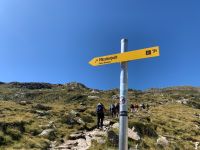 206 Aufstieg zum Pfitscherjoch