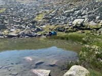 210 Aufstieg zum Pfitscherjoch