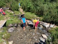 234 Abstieg ins Pfitschtal