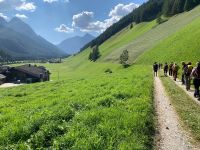 237 Abstieg ins Pfitschtal