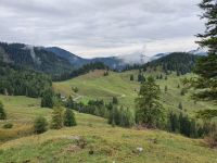 Blick zurück zur Königsalm