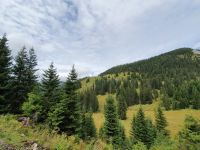 Blick zurück zur Blaubergalm