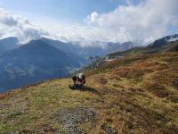 auf dem Onkeljoch 2066 m hoch