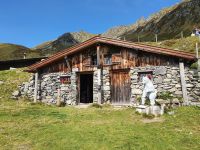 Gartalm mit Bär Bruno