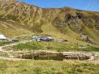 Gartalm mit Barfussweg vorn