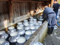 Abholung der Heumilch an der Pfundsalm