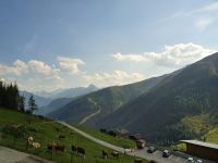 Mautstrasse nach Hippach