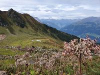Herbst in den Bergen
