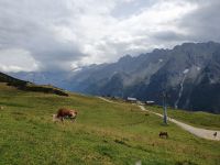 Blick ins Stilluptal