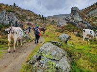 Aufstieg zur Lavitzalm