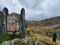 Blick von der Lavitzalm zum Pfitscher Joch