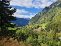 talabwärts im Pfitschtal