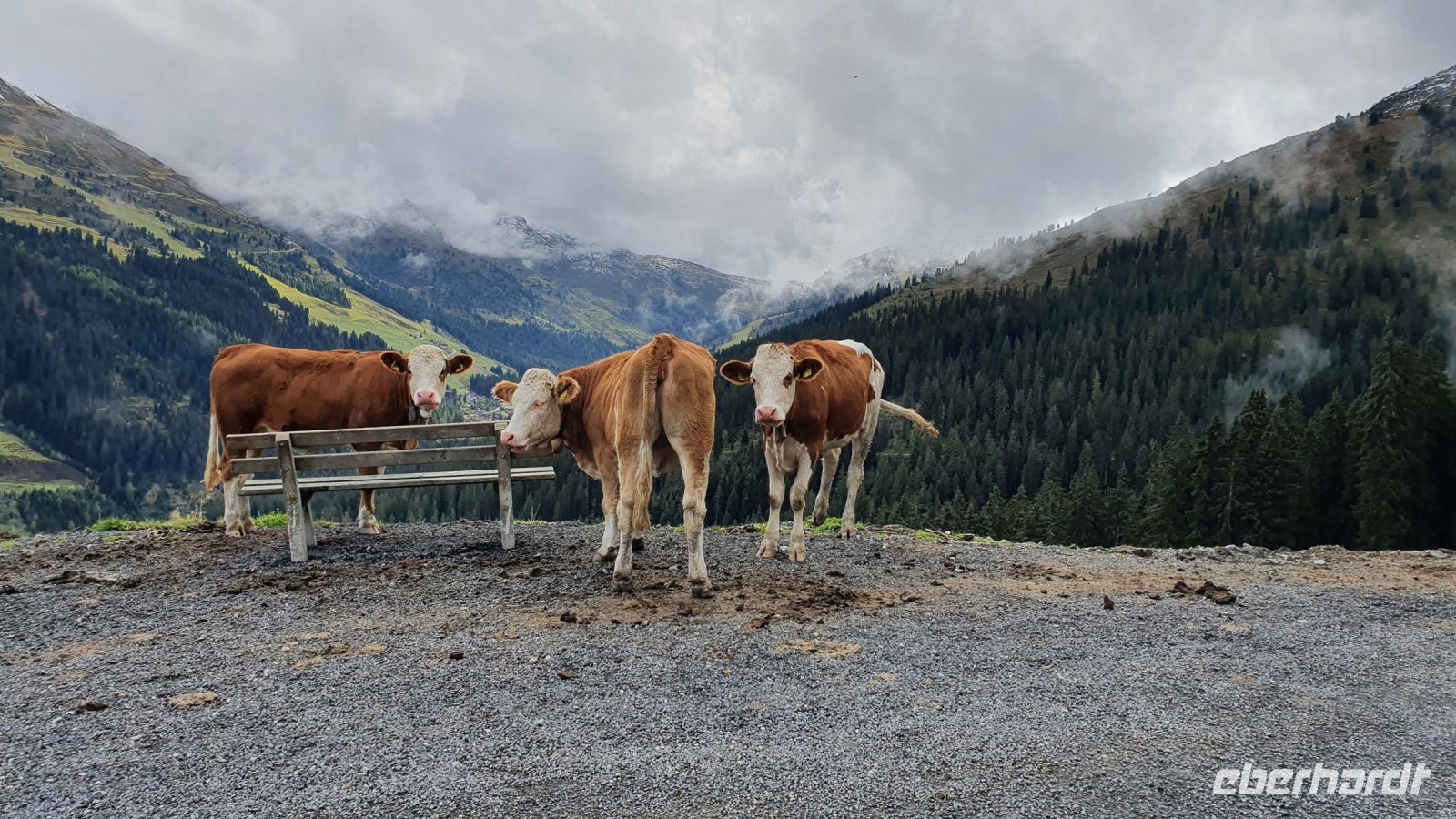 Wanderung nach Hochfügen
