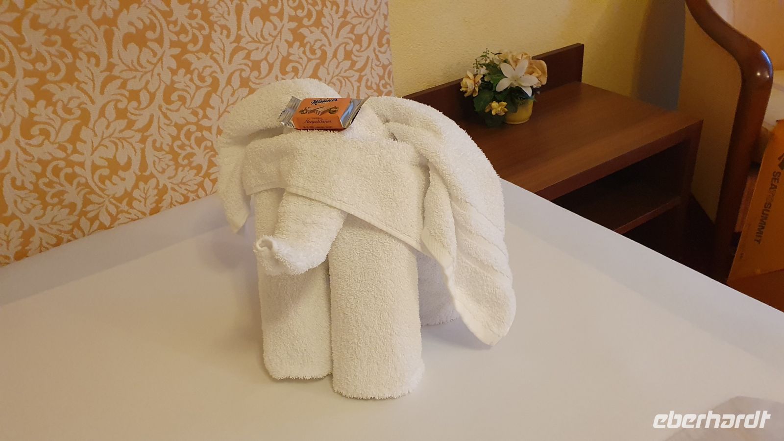 ein Elefant für die Alpenüberquerung