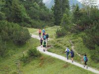 P8270051, inzwischen eingewandert