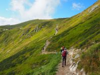 P8290112, auf schmalen Pfaden