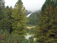 P9010164, auf dem Weg zum Alpenhauptkamm