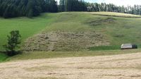 Heuernte in Stein am Steilhang